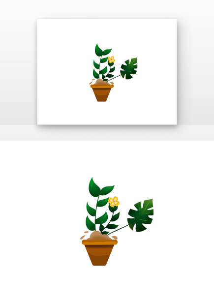 院子种植绿色大叶盆栽植物黄花卡通盆栽图片下载