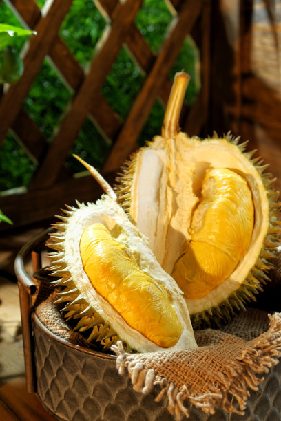 榴莲水果之王图片下载