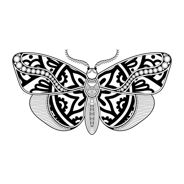 蝴蝶黑白元素线条艺术图片下载