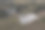 筒仓袋装满大豆，拉潘帕省，巴塔哥尼亚，阿根廷。图片下载