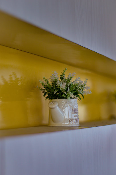 装饰植物图片下载