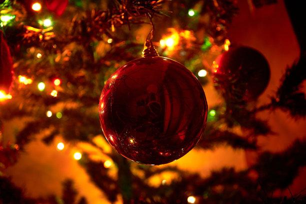 红色圣诞球与无焦点的背景和圣诞树在背景图片下载