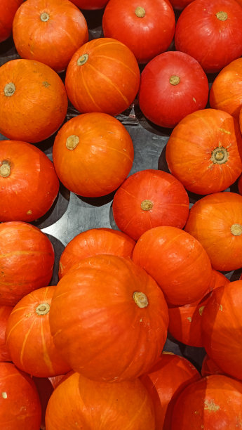 大南瓜垂直造型，最适合万圣节图片下载