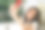 这个女孩手里拿着一个手机。一个女人在互联网上写信息，看图片，搜索信息。女孩为社交网络自拍。女人微笑着坐在家里的沙发上放松图片下载