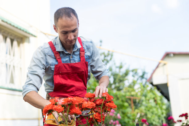 用剪刀把房间剪起来。玫瑰护理。图片下载