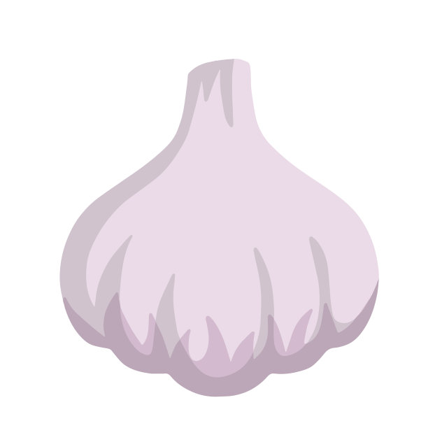 蒜香球茎蔬菜图片下载