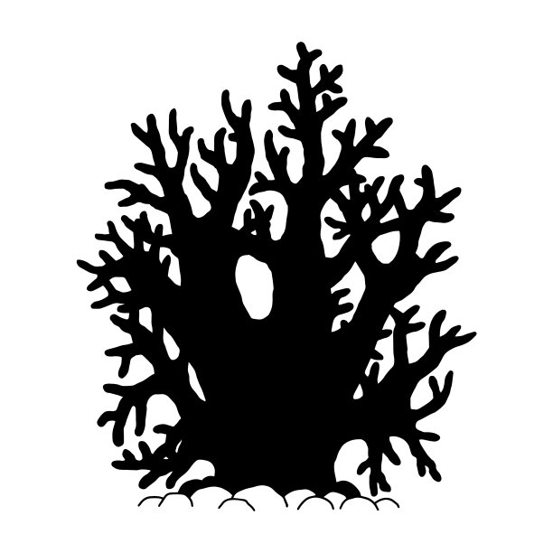 珊瑚剪影珊瑚礁海洋图片下载