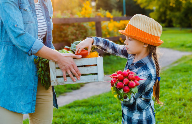 小朋友小女孩抱着妈妈一篮子新鲜的有机蔬菜装点家里的花园。图片下载