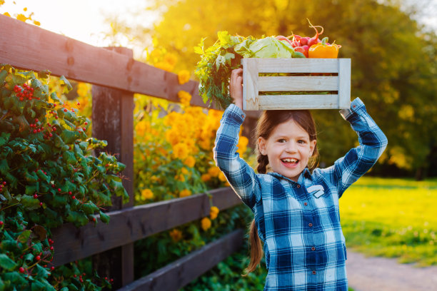 孩子小女孩拿着一篮子新鲜的有机蔬菜，背景是一个家庭花园在日落。健康的家庭生活方式。秋天是收获的季节。那个孩子是农民。图片下载