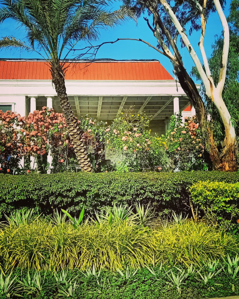 孟买空气厨师图片下载