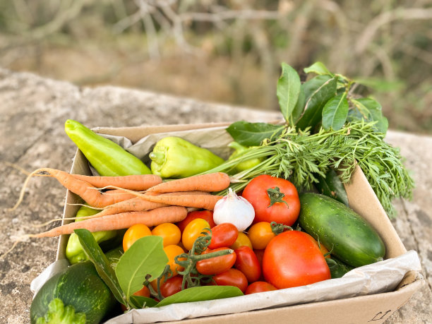 纸板箱里装着刚从花园里摘的蔬菜图片下载