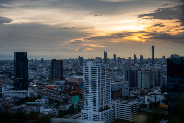 在去年光图片下载