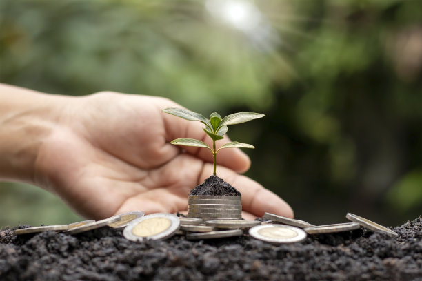 在硬币堆上生长的树苗包括了漫天的白光、商业理念、省钱和经济增长。图片下载