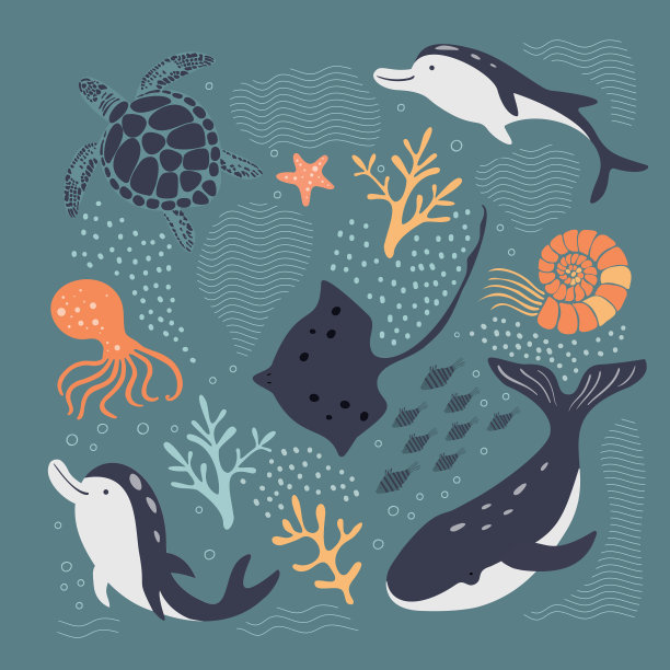 手绘集海洋生物海龟图片下载