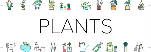 室内植物商店销售收集图标集图片下载