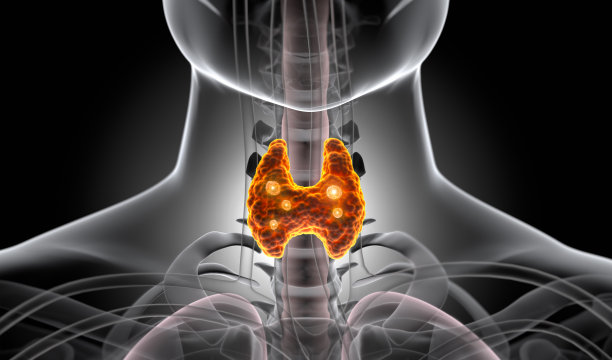 甲状腺图片下载