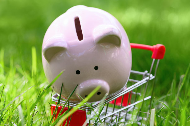 粉色的小猪存钱罐放在购物车里，背景是绿色的草地。全球危机的概念图片下载