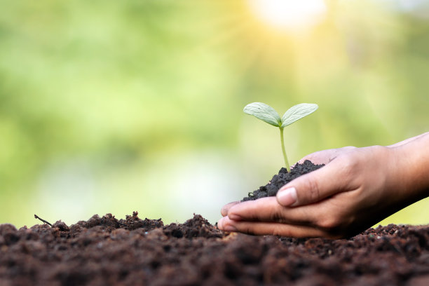 人类双手在土壤中种植幼苗或树木地球日和全球变暖运动。图片下载