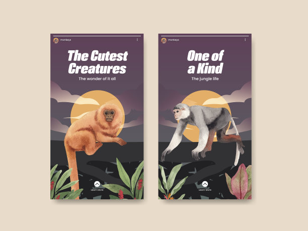 丛林猴子的Instagram模板图片下载