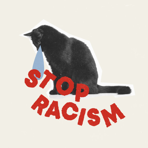 当代艺术拼贴。概念形象与哭泣的黑猫和停止种族主义的文字。文化差异图片下载