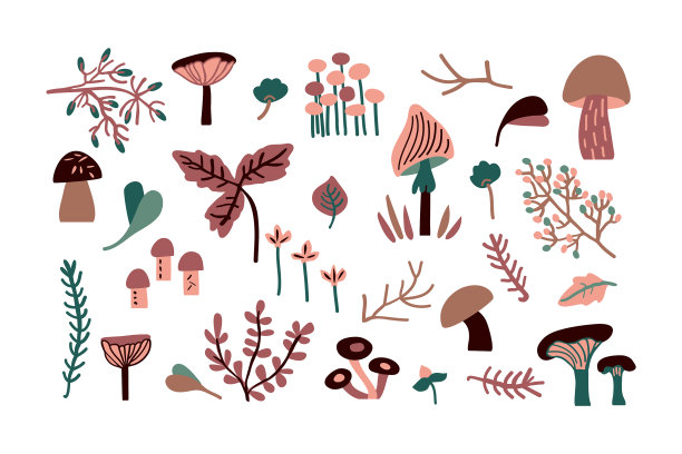 秋天集合了不同的森林元素图片下载