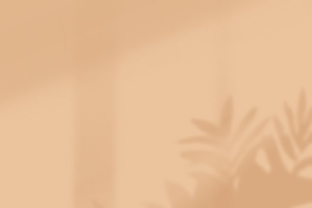 美学阴影背景插图在棕色梯度图片下载