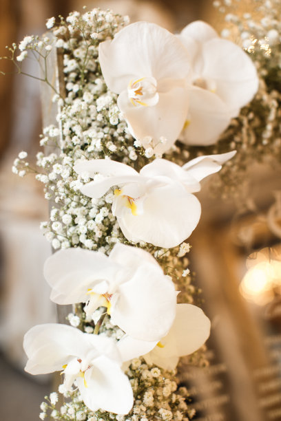 婚礼上的鲜花和蜡烛图片下载