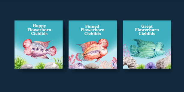 旗模板花角慈鲷鱼图片下载