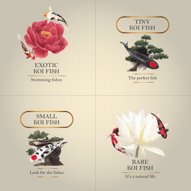 Logo模板与锦鲤鱼概念水彩图片下载