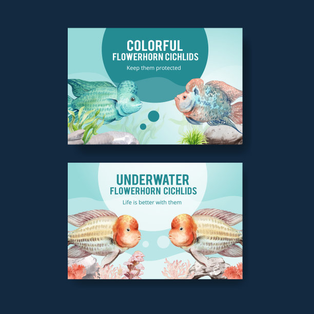 脸书模板花角慈鲷鱼图片下载