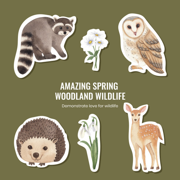 贴纸模板与春天林地野生动物图片下载