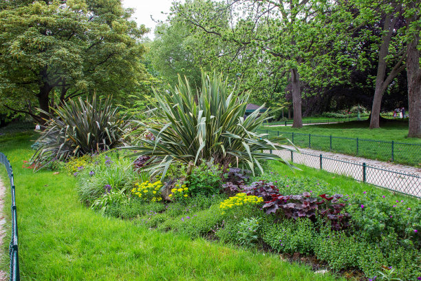 在蒙索公园的混合板或花坛上栽种天麻等小型植物图片下载