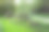 在蒙索公园的混合板或花坛上栽种天麻等小型植物图片下载