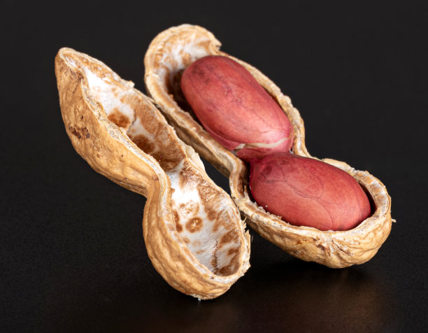 一个漂亮的小花生在壳里分裂，里面有明亮美丽的坚果，旁边有一个小花生分裂，背景是光滑的黑色反光。特写镜头图片下载