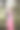 小女孩在花园里的花树旁跳舞。图片下载