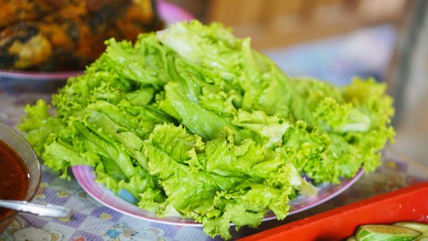 盛在绿色碗里的新鲜沙拉图片下载