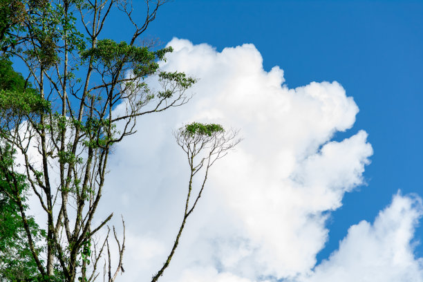 有山、有云、有树的自然景观。图片下载