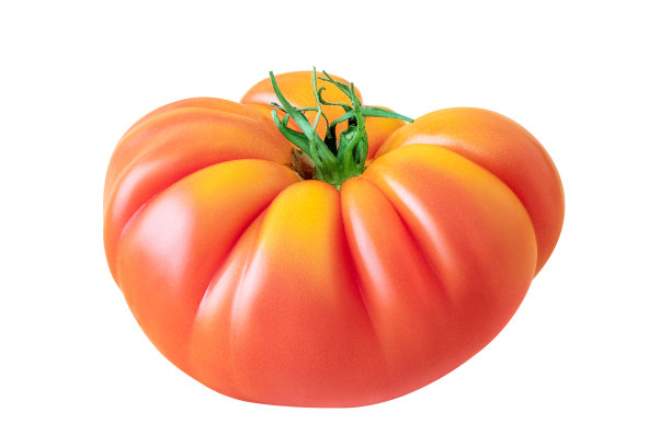 肋不寻常的美味和多汁的新鲜番茄孤立在白色的背景与路径。有机产品不是完美的形状和颜色图片下载