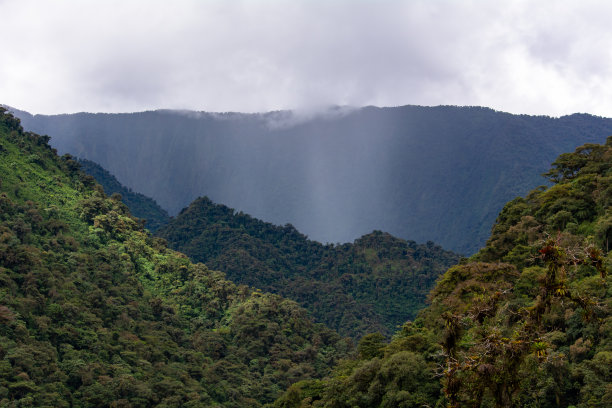 有山、有云、有树的自然景观。图片下载
