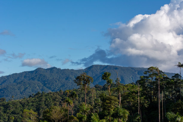 有山、有云、有树的自然景观。图片下载
