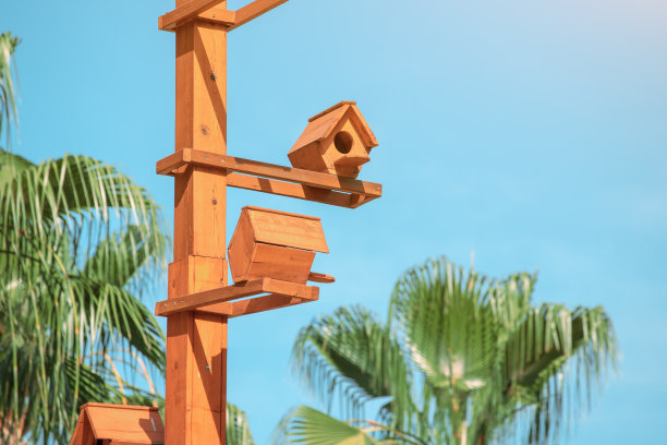 在热带自然公园的木制结构上有很多候鸟筑巢的鸟巢。观鸟、宿舍和共享住房的概念图片下载