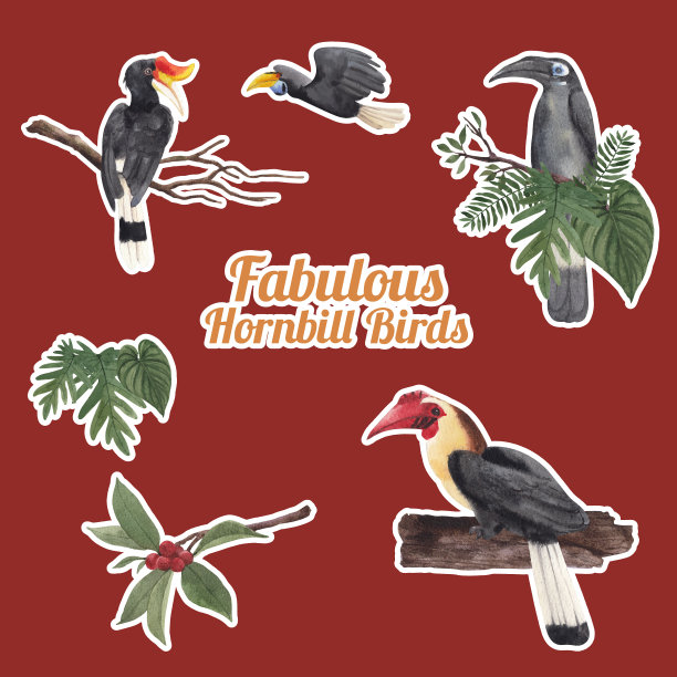 粘贴模板与犀鸟图片下载