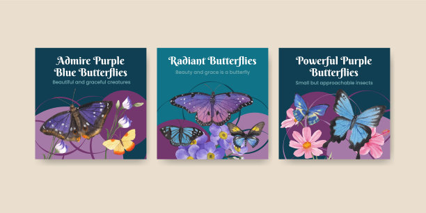 横幅模板与紫色和蓝色的蝴蝶图片下载