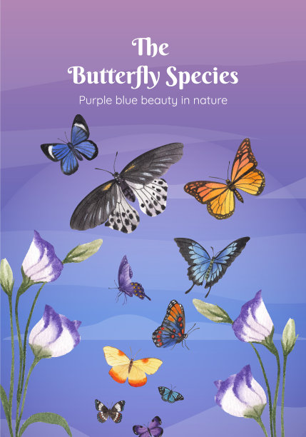 海报模板与紫色和蓝色的蝴蝶图片下载