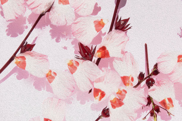 油画背景图案粉红色花春天开花的背景图片下载