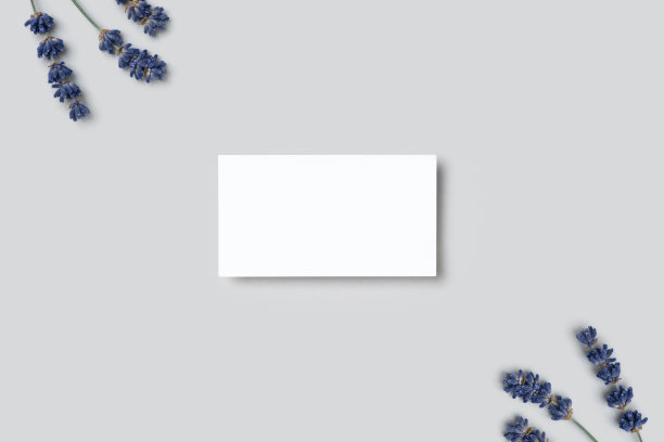 模拟一个剖面图，折扣，在灰色极简主义背景和薰衣草花的名片图片下载