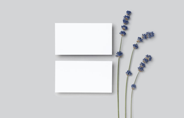 模型两个切，折扣，名片上的灰色极简主义背景和薰衣草花图片下载