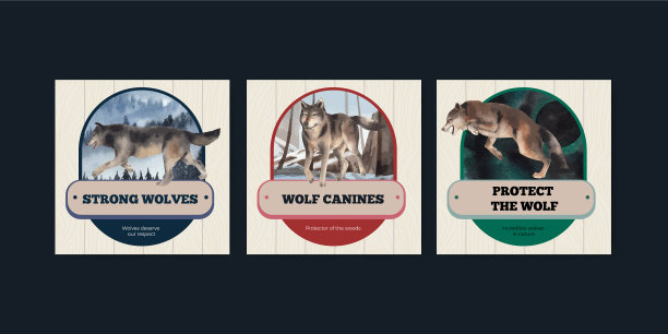 横幅模板与狼在冬天图片下载