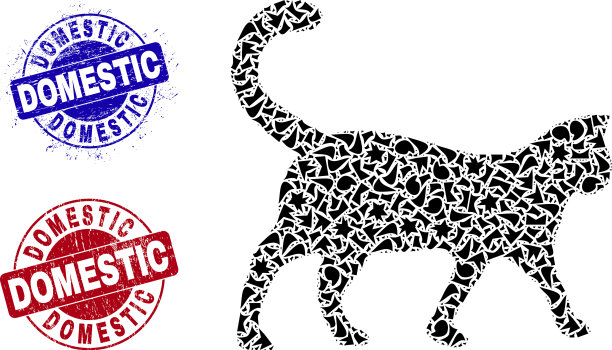 猫马赛克的碎片带有家养的划痕图片下载