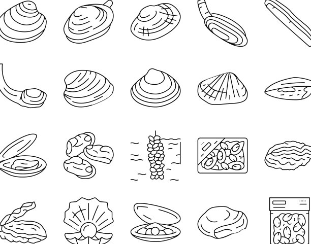 蛤蜊海洋海洋农场营养图标设置图片下载